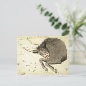 〔占星術の〕十二宮図サイン:ターラスのポストカード ポストカード (スタンド正面)