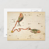 「〔占星術の〕十二宮図サイン：魚座」はがき ポストカード (正面/裏面)