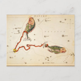 「〔占星術の〕十二宮図サイン：魚座」はがき ポストカード