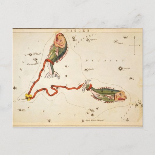 「〔占星術の〕十二宮図サイン：魚座」はがき ポストカード (正面)