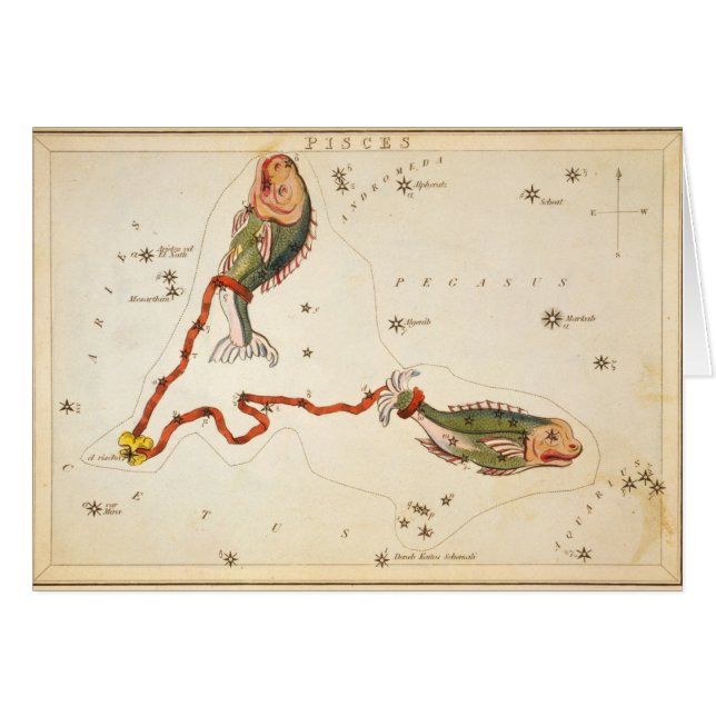 「〔占星術の〕十二宮図サイン：魚座」カード (正面横)