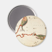 「〔占星術の〕十二宮図サイン：魚座」磁石 マグネット (正面/裏面)