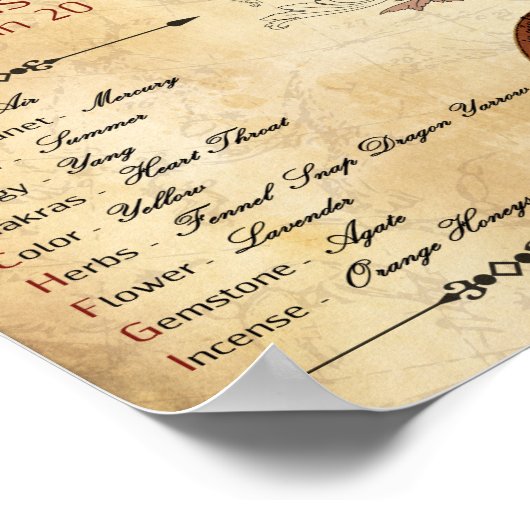 〔占星術の〕十二宮図ジェミニ誕生標識ポスター ポスター (角)