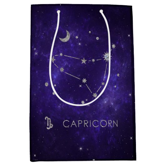 〔占星術の〕十二宮図パープル山羊座 |占星術占星術 ミディアムペーパーバッグ (正面)
