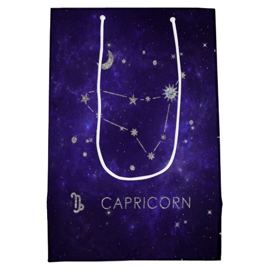 〔占星術の〕十二宮図パープル山羊座 |占星術占星術 ミディアムペーパーバッグ (裏面)