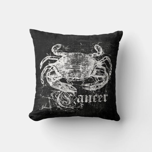 〔占星術の〕十二宮図ヴィンテージがん クッション (正面)