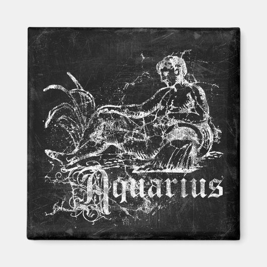 〔占星術の〕十二宮図ヴィンテージアクエリアス マグネット (正面)