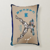 〔占星術の〕十二宮図宇宙がんアクセント枕 アクセントクッション (正面(垂直))