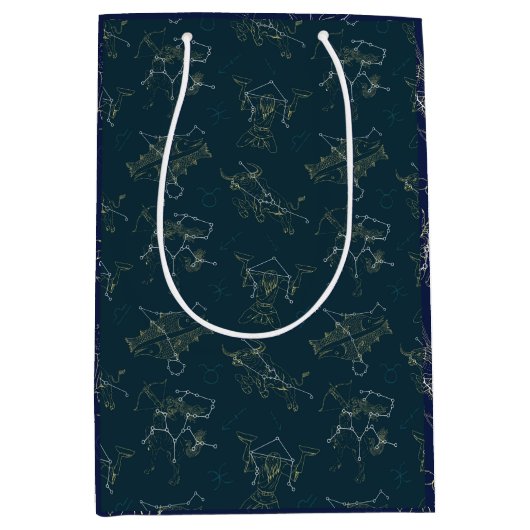 〔占星術の〕十二宮図星の空、フェスティバル星座 ミディアムペーパーバッグ (正面)