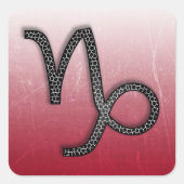 〔占星術の〕十二宮図標識山羊座ヤギのシンボル及び占星術 スクエアシール (正面)