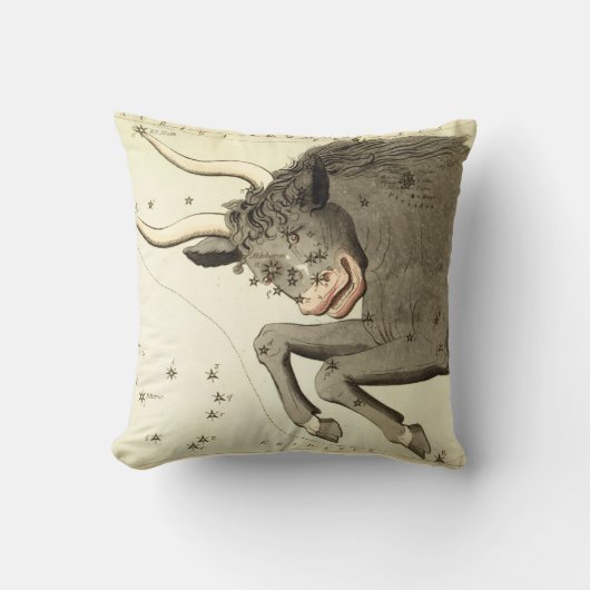 〔占星術の〕十二宮図標識：タウロス クッション (正面)