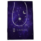 〔占星術の〕十二宮図紫がん |宇宙占星術占星術 ミディアムペーパーバッグ (正面)