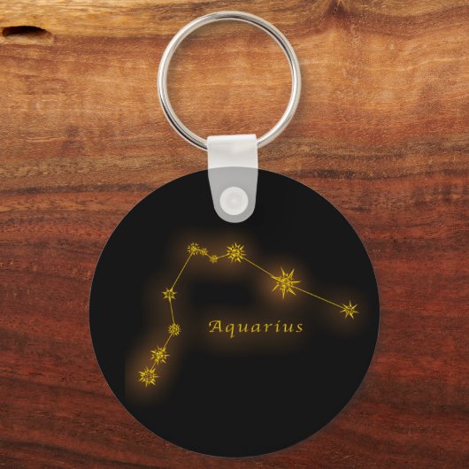 〔占星術の〕十二宮図 – アクエリアス キーホルダー (正面)