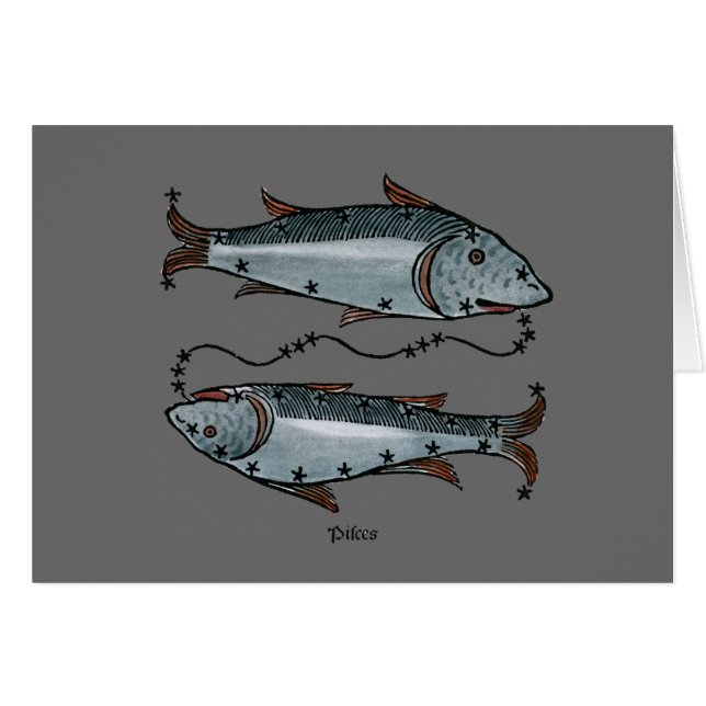 (占星術の)十二宮図: 色の魚類 (正面横)