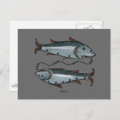 〔占星術の〕十二宮図：魚座の色 ポストカード (正面/裏面)