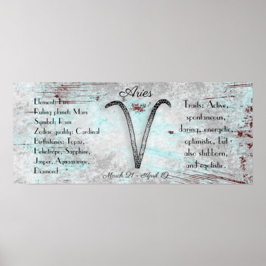 占星術サインアリー〔占星術の〕十二宮図占星術 ポスター (正面)