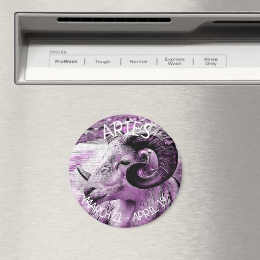 占星術 マグネット (インサイチュ (食洗機))