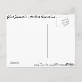 占有タマリン番号1 ポストカード (裏面)