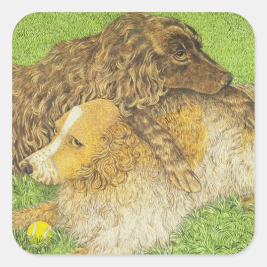 占有 スクエアシール (正面)