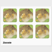 占有 スクエアシール (シート)