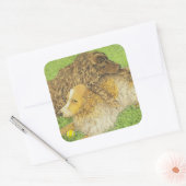 占有 スクエアシール (封筒)