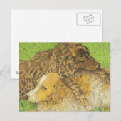 占有 ポストカード (正面/裏面)