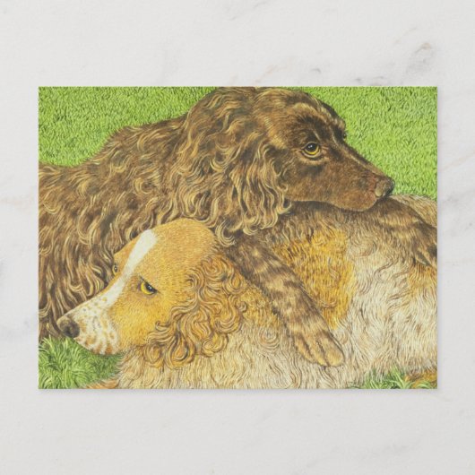 占有 ポストカード (正面)