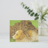 占有 ポストカード (スタンド正面)