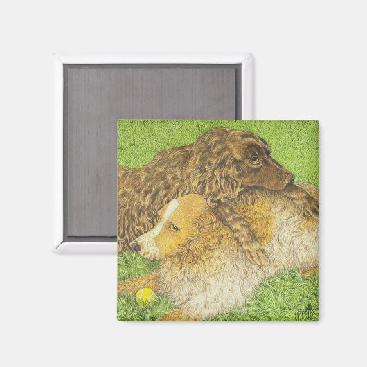 占有 マグネット (正面/裏面)