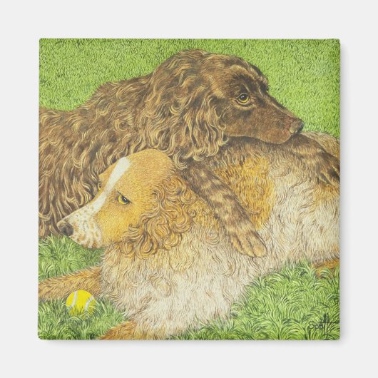 占有 マグネット (正面)