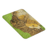 占有 マグネット (右側)