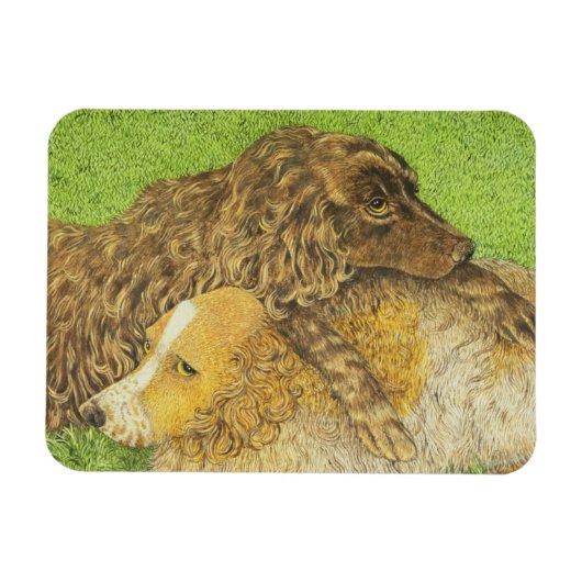 占有 マグネット (横)