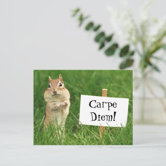 印の郵便はがきが付いているCarpe Diemのシマリス ポストカード (スタンド正面)