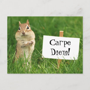 印の郵便はがきが付いているCarpe Diemのシマリス ポストカード