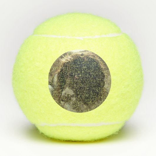 印刷されたテニス・ボール テニスボール (正面)