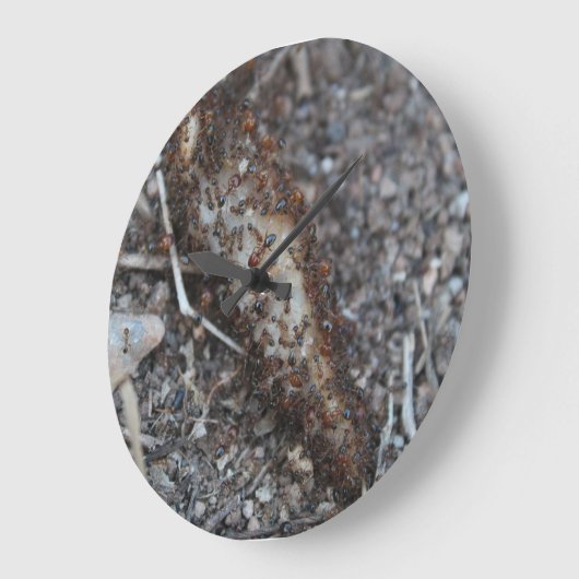 印刷される蟻の写真の群れ ラージ壁時計 (傾斜)