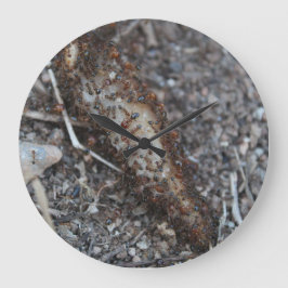 印刷される蟻の写真の群れ ラージ壁時計