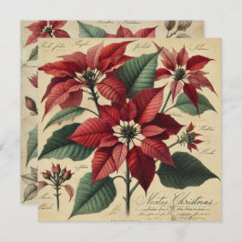 印刷可能なヴィンテージクリスマスポインセチア植物学 招待状
