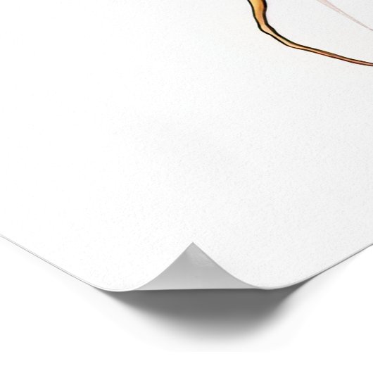 印刷可能なCARROTS ポスター (角)