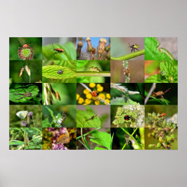 印石天 – コラージュ ポスター