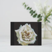印象派のバラがブラックで孤立 ポストカード (スタンド正面)