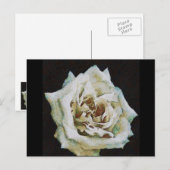 印象派のバラがブラックで孤立 ポストカード (正面/裏面)