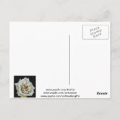 印象派のバラがブラックで孤立 ポストカード (裏面)