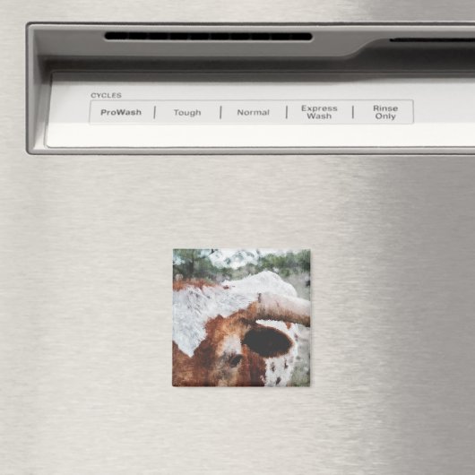 印象派のロングロ色彩の鮮やかーム マグネット (インサイチュ (食洗機))