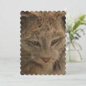 印象的なオオヤマネコ 招待状 (スタンド正面)