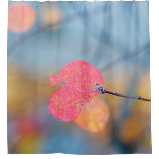 印象的なコトネ葉ースター シャワーカーテン (正面)