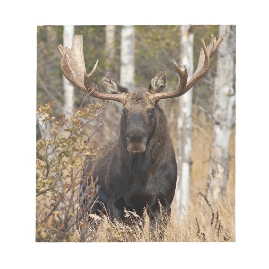 印象的なバールマス ノートパッド (正面)