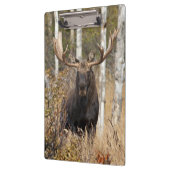 印象的なブルムース クリップボード (左)