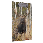 印象的なブルムース クリップボード (右)