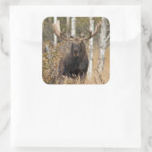 印象的なブルムース スクエアシール (バッグ)